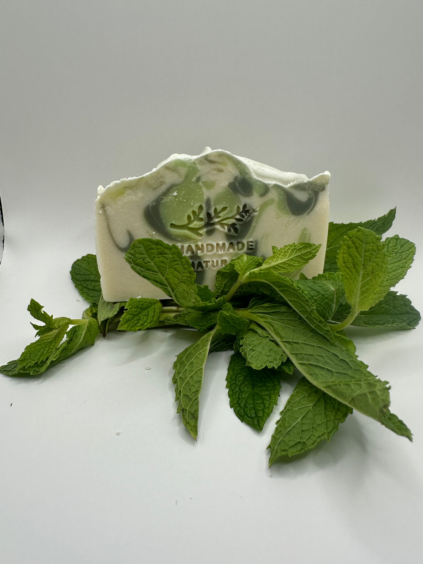 Garden Mint